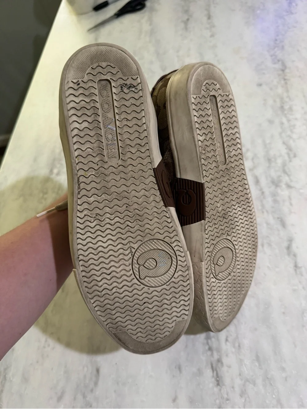 Coach Chic Comfy Logo Citysole Skate Canvas Neutral Everyday Low-Top Sneakers 10